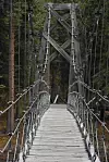 20240705-news-abq2alaska-hiking bridge at denali.JPG
