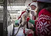 Photos: Homeless pets receive treats and comfort gifts from Santa Claus ...