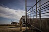 Cattle industry warns regulations, New World screwworm could threaten future of ranching