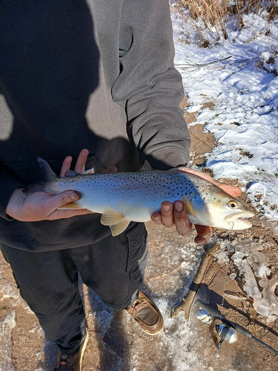 New Mexico fishing report: Top catches and lake conditions for January 2026