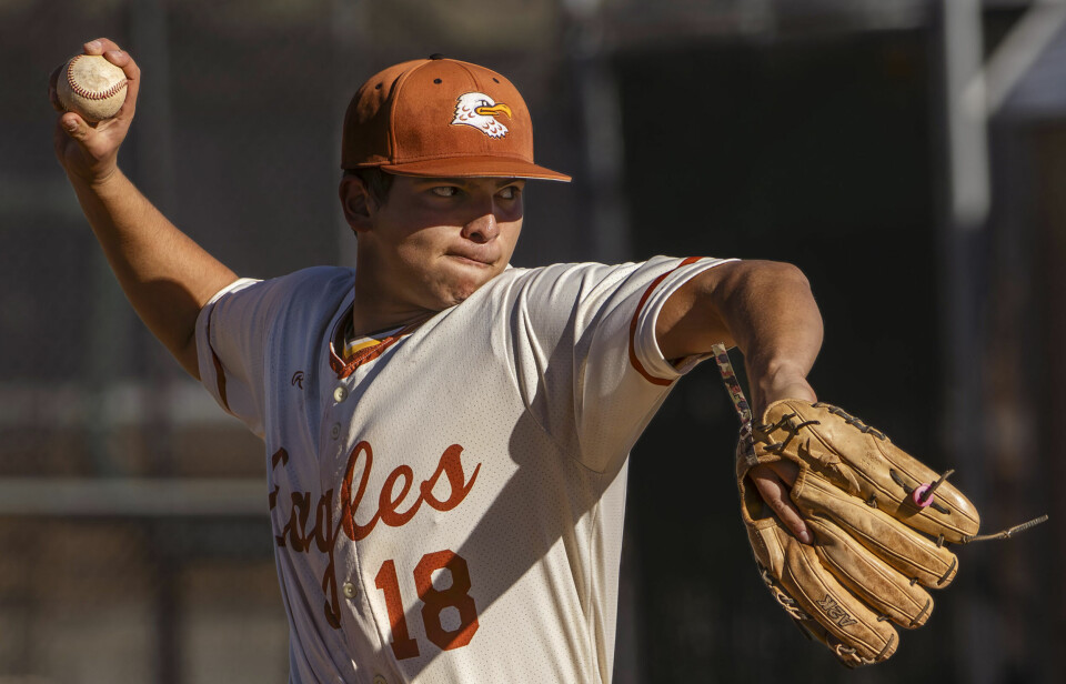 Metro Baseball Championships: Top four seeds advance to semifinals ...