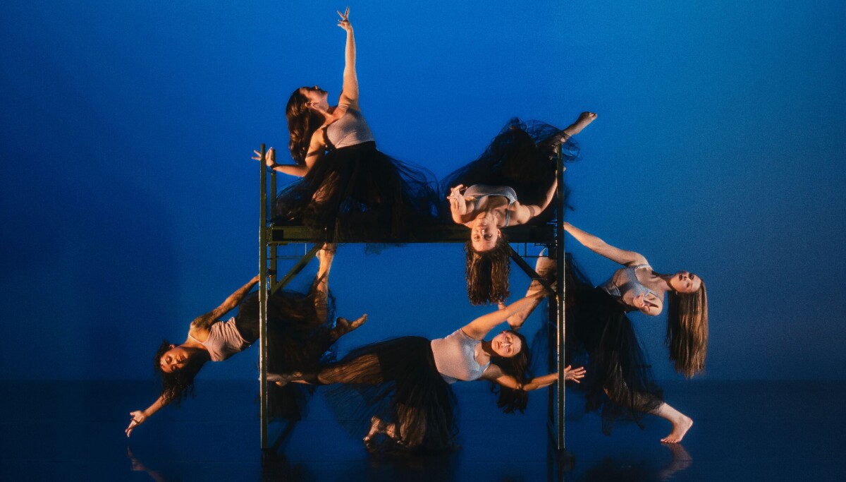 Bikes, cactus and contemporary dance: 7 events this week