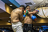 Torres, Chavez win on Tapia Promotions card
