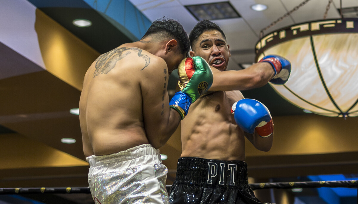 Torres, Chavez win on Tapia Promotions card