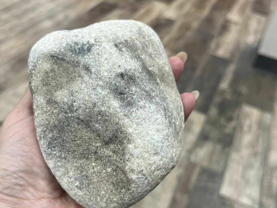 New Mexico GOP headquarters vandalized after rock thrown through window ...