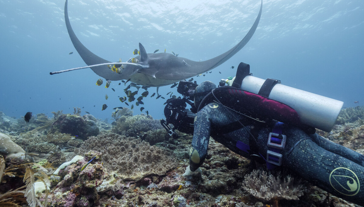‘Shared Planet' shows how communities worldwide are learning to coexist with wildlife