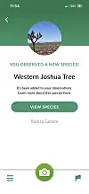 Smartphone screen showing the Seek app identifying a Western Joshua Tree from a desert photo.