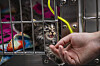 New Mexico animal shelters receive $2 million in state funding