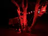 Nighttime campsite with a tent tied between trees and red string lights glowing