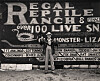 ‘Roadside Attractions’ photo exhibit celebrates New Mexico road trips and car culture