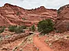 A dirt trail curves through red sandstone cliffs with scattered shrubs under a cloudy sky.