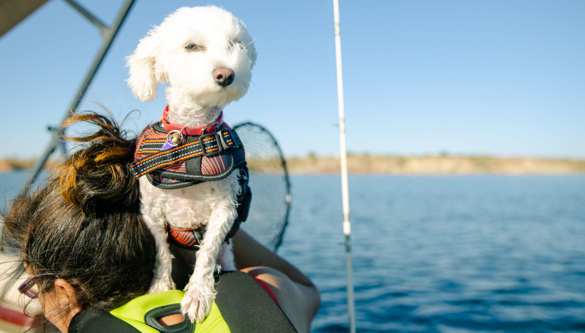 Best lakes, fees and safety rules