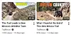 Two TrailRecon video thumbnails showing off-road vehicles on rocky desert trails.