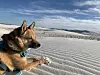 Ora enjoys White Sands