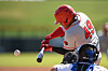 Lobo baseball season come to an end in Mesa