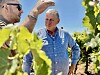 For state's winemakers, the future looks bubbly