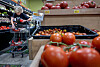 In Los Alamos, a co-op bet on lower prices. Customers came back.