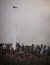 New Mexico wildfires force evacuations, threaten structures