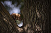 Hidden cash treasure hunts draw families outdoors