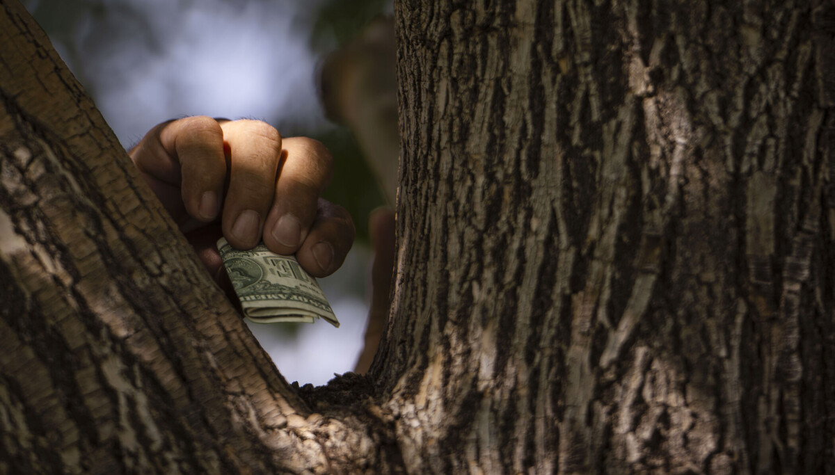 Hidden cash treasure hunts draw families outdoors