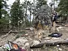 A person climbs a large boulder in a wooded outdoor area with a dog standing nearby and climbing pads on the ground.
