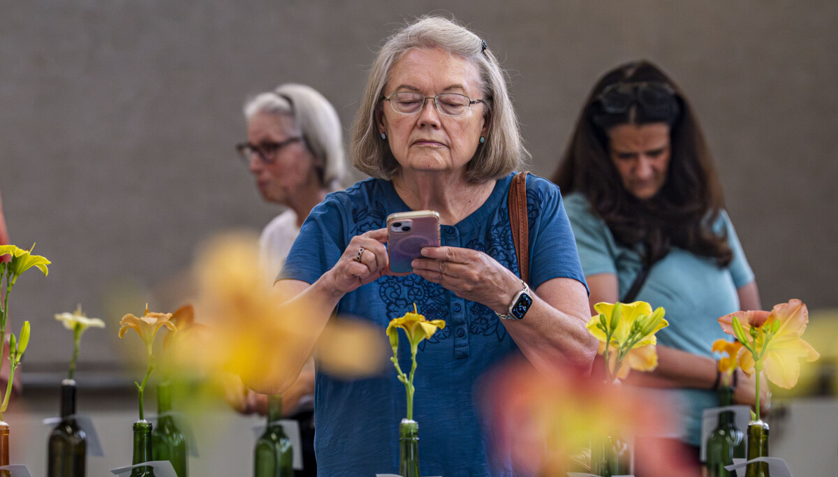 Photo Gallery:The Daylily Society's Daylily Show & Sale