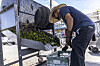‘Chile roasting, it ain’t no joke’: New Mexico businesses gear up as season nears