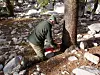 Donald Falk doing tree-ring sampling in the field