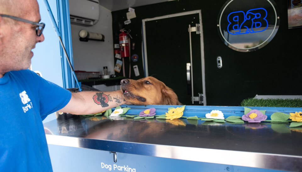 Chad Rutter Bark Bar: Rio Rancho's dog-only food truck serving pup cups and ...