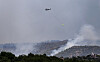 Frijoles Fire surges to 11,000 acres, now third-largest fire in NM this year