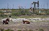 U.S. Agriculture Department lifts restrictions on New Mexico’s only screwworm zone