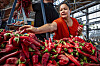 Photos: Red or Green Day at the Rail Yards Market