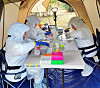 UNM researchers test animals for hantavirus in Taos