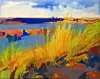 North Valley Studio Tour opens Albuquerque artists’ studios