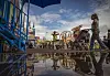 Photos: Moments from the New Mexico State Fair