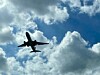 New Mexico bucks international travel decline