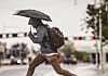 Heavy rain triggers flooding and water rescues across New Mexico