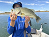 New Mexico fishing report: Best bites and lake alerts