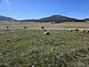 Motorcycle ride through Valles Caldera backcountry