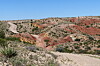 Explore Quebradas Back Country Byway near Socorro this fall