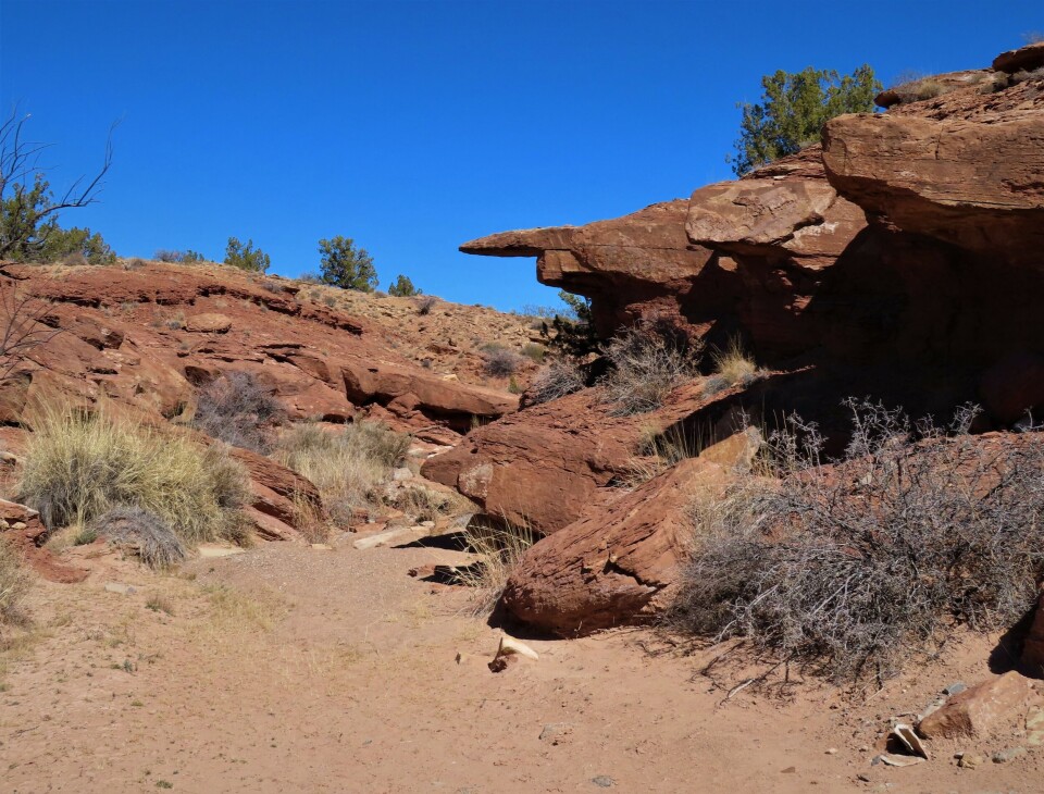 Blm Color Letters Explore Quebradas Back Country Byway near Socorro this fall