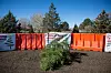 20231225-nws-ja-treerecycling-03.jpg
