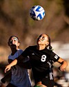 NM Gatorade Players of the Year: Five standouts honored
