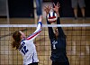 New Mexico state volleyball tournament seeds and schedules | Sports ...