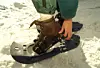 Snowshoeing