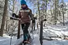 Snowshoeing