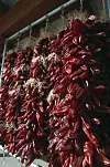 CHILE RISTRAS