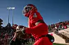 20241102-spt-cb-UNMLobos-01.jpg