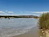 Lower Rio Grande 2 060325