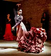 20241208-life-flamenco